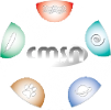 CMSN